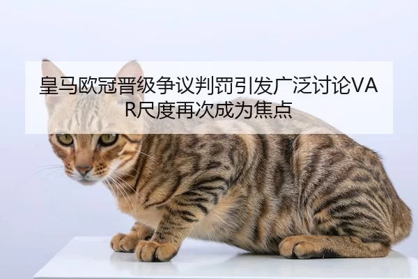 皇马欧冠晋级争议判罚引发广泛讨论VAR尺度再次成为焦点