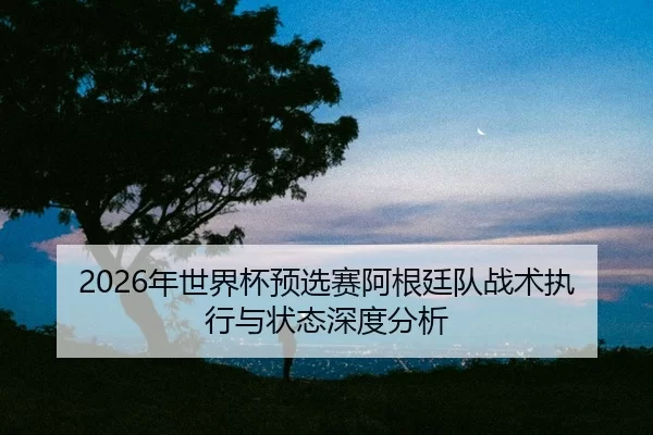 nian-shi-jie-bei-yu-xuan-sai-a-gen-ting-dui-zhan-shu-zhi-xing-yu-zhuang-tai-shen-du-fen-xi-2-321.jpg