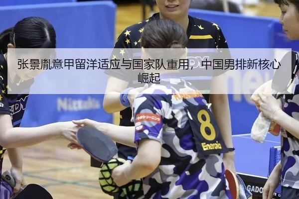 zhang-jing-yin-yi-jia-liu-yang-shi-ying-yu-guo-jia-dui-zhong-yong-zhong-guo-nan-pai-xin-he-xin-jue-qi-2-391.jpg