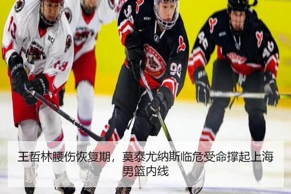 wang-zhe-lin-yao-shang-hui-fu-qi-mo-tai-you-na-si-lin-wei-shou-ming-cheng-qi-shang-hai-nan-lan-nei-xian-3-316.jpg