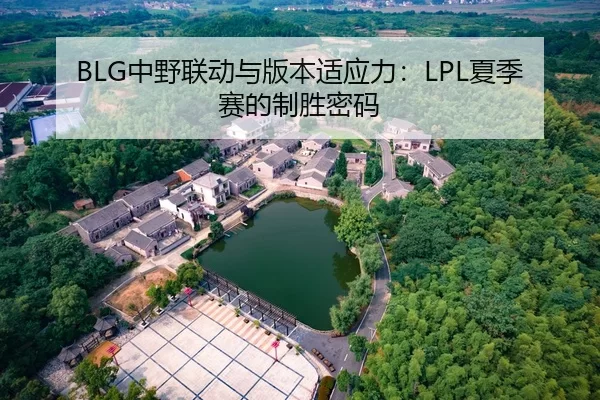BLG中野联动与版本适应力：LPL夏季赛的制胜密码